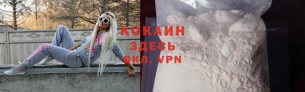 твердый Протвино