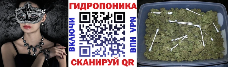 Бошки Шишки план  Яровое 